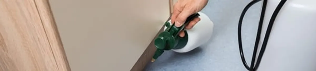 Bed bug exterminator treating baseboards and cracks with targeted spray in Shreveport, LA