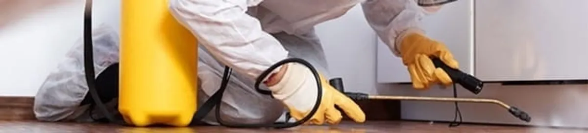 Roach exterminator treating cracks and crevices along kitchen baseboards in Shreveport, LA