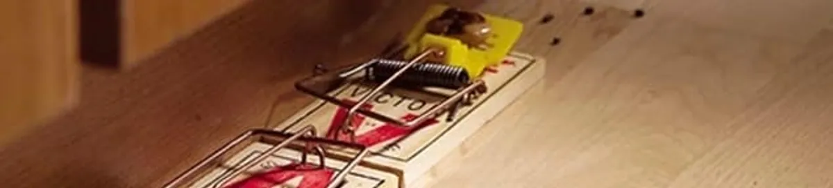 Rodent trap set indoors for rodent control and prevention in Shreveport, LA